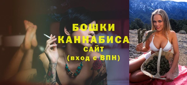 сатива Дмитриев