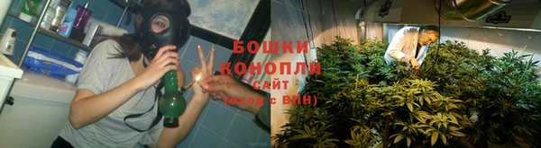 СК Дмитров