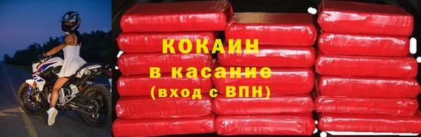 сатива Дмитриев