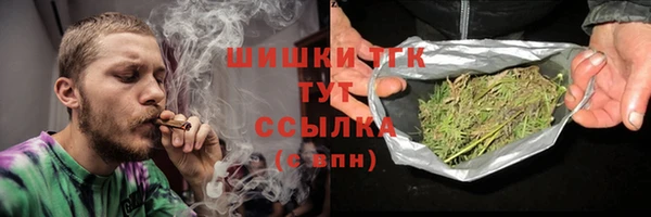 сатива Дмитриев