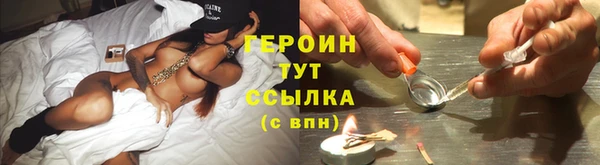 СК Дмитров