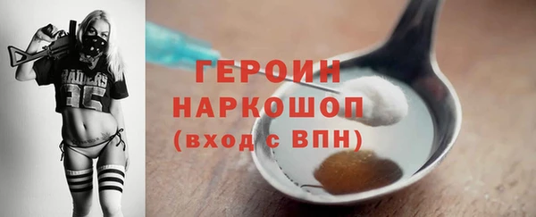 СК Дмитров