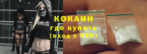 сатива Дмитриев