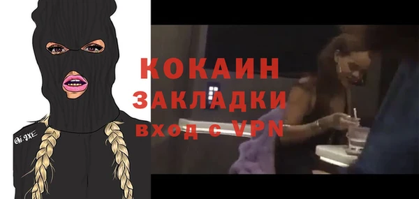 сатива Дмитриев
