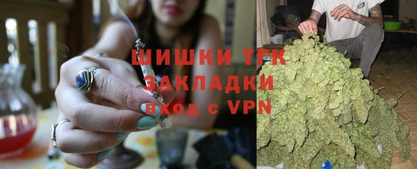 СК Дмитров