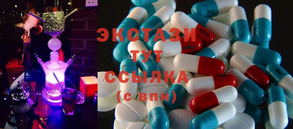 СК Дмитров