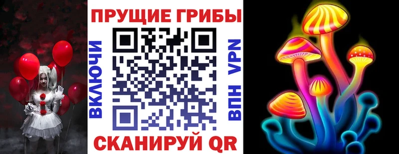 Псилоцибиновые грибы MAGIC MUSHROOMS  Купить закладки  Новоузенск 